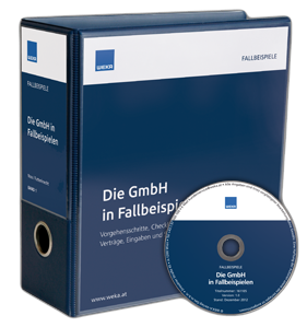 Die GmbH in Fallbeispielen